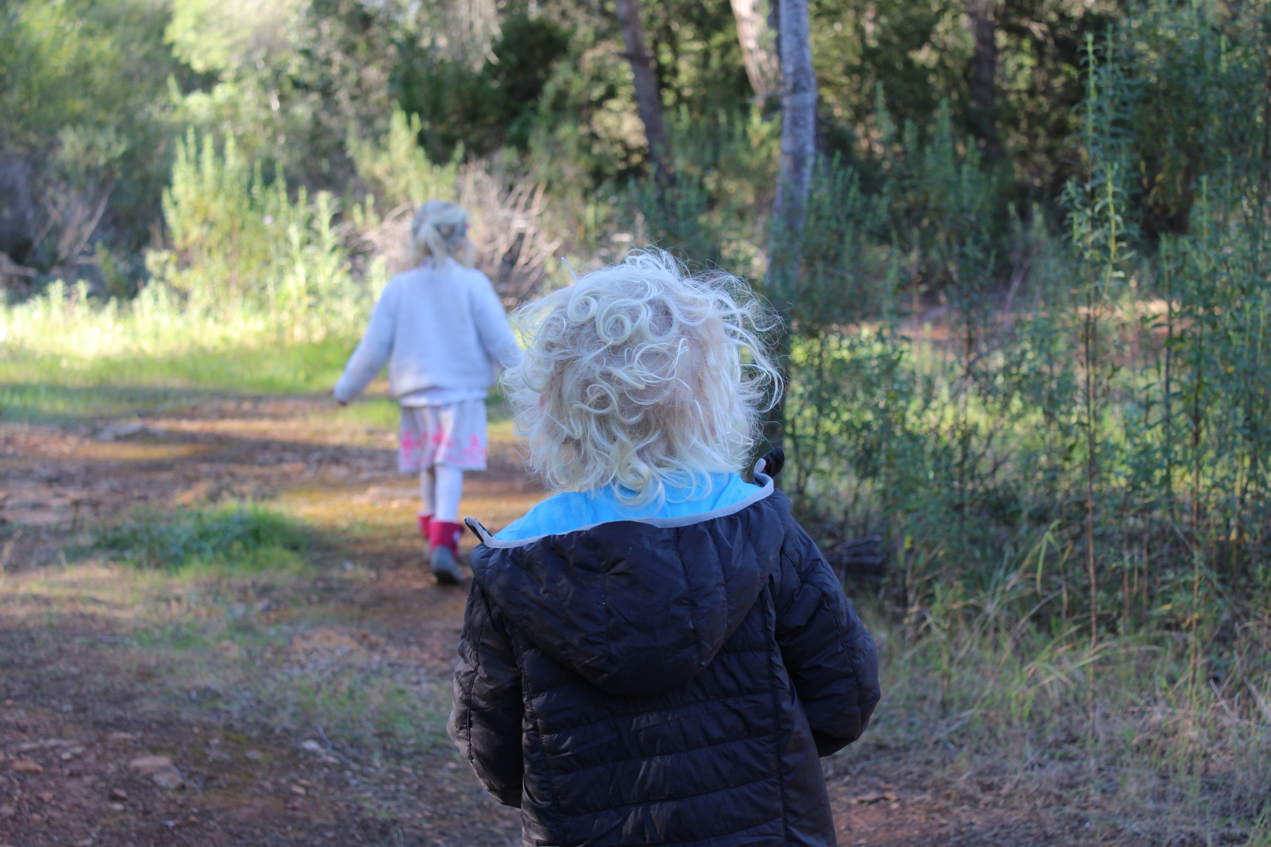 children-walking-on-a-path-in-the-forest-2026-03-13-04-23-42-utc